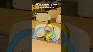 Пов: у тебя супер способность Остановка времени #meme #memes #cat #memecat #memescat