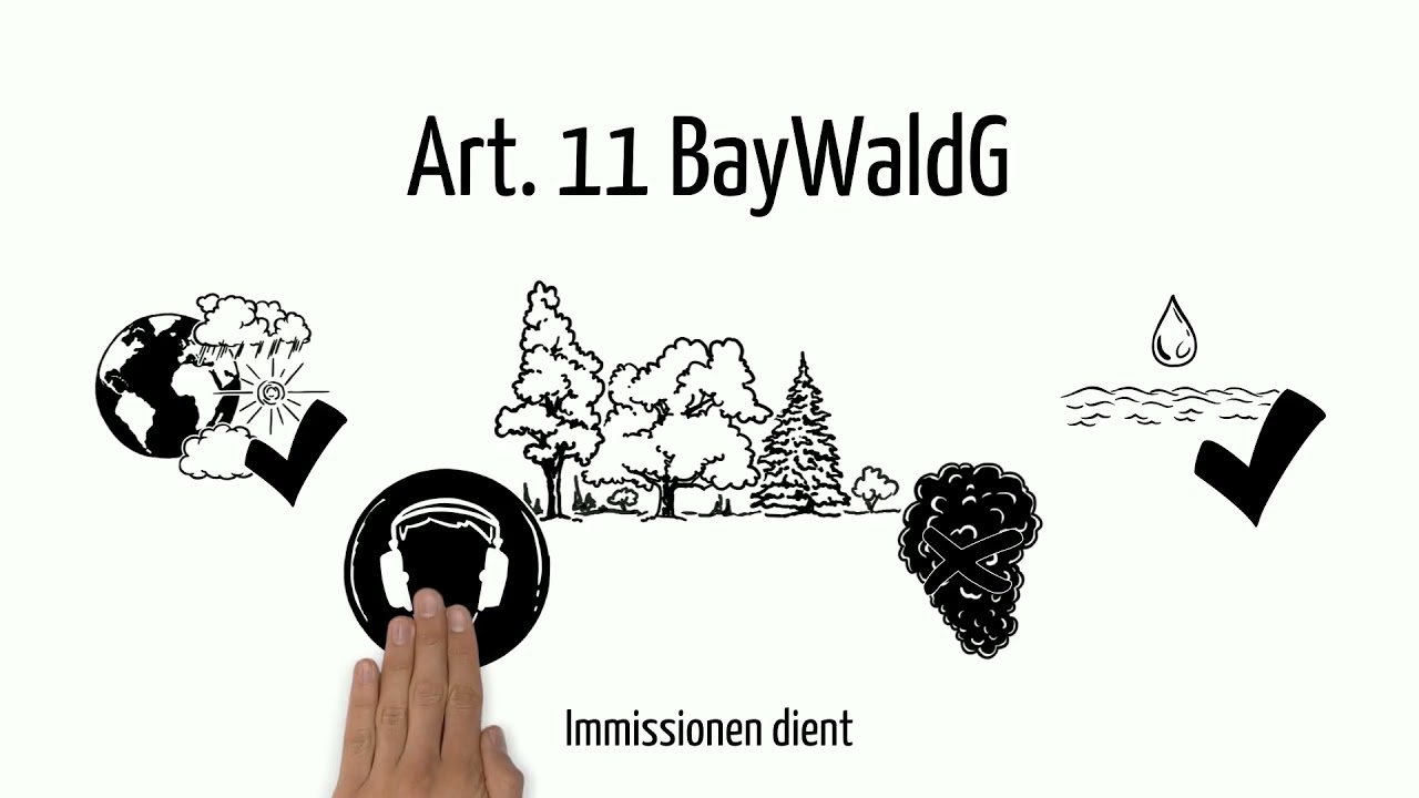 Lohwaldfakten #6 - Was ist ein Bannwald?