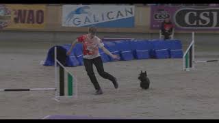 Scottie Riley  World Agility Open Championships 2023