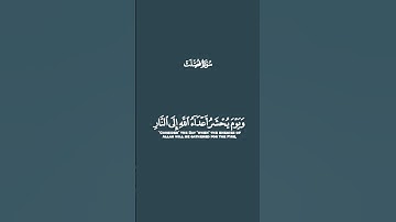 وَنَجَّيْنَا الَّذِينَ آمَنُوا وَكَانُوا يَتَّقُونَ مرتل بصوت القارئ رعد الكردي #قرآن #رعد_الكردي