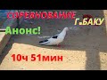 Анонс! Соревнование голубей Гусейнова Фуада в г.Баку! Анонс!