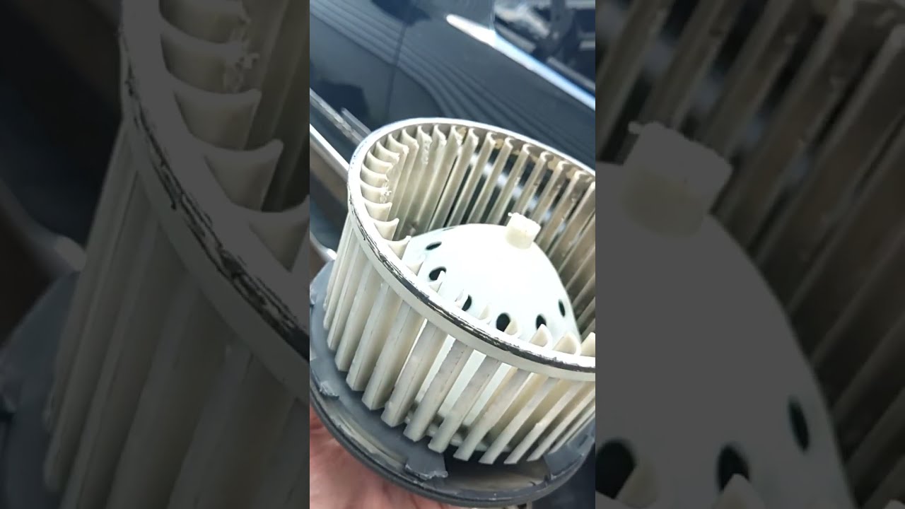 Chevy GMC HVAC blower motor vibration. Mouse prevention.