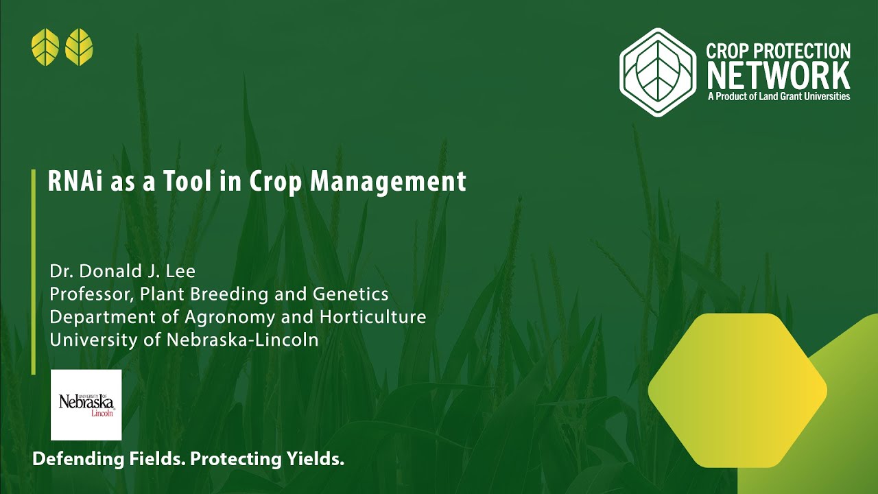 RNAi as a Tool in Crop Management - YouTube