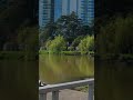 4K 60 FPS ASMR] No Edit / No Music.  Walking through Batumi #散歩 #街歩き #4K60FPS #格鲁吉亚 #巴图米 #自然 #旅游