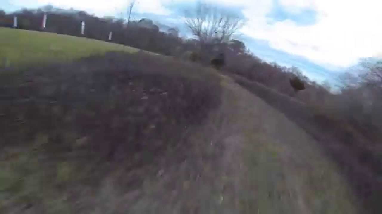 FPVA - Coram 11/22/15