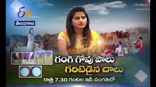 Divya Reddy Founder Of Klimom