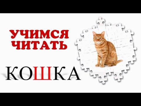 Учимся читать. Проверяем знания. Звуки животных (2)