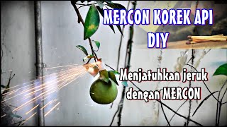 Buat Mercon KOREK API & nyumet Mercon di ranting JERUK
