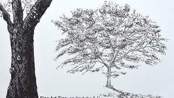 How to Draw a Tree With Brush Pens - An Oak Tree - How to Draw Trees