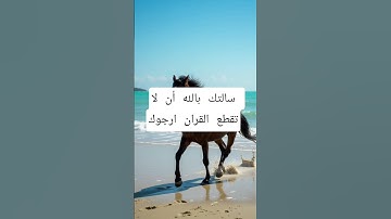 قران كريم قران رحيم #اكسبلور 💙💙💙💙💙⁦^⁠_⁠^⁩229