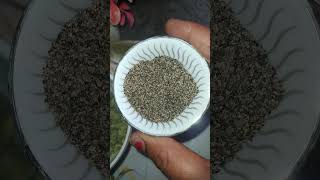 काली मिर्च और सौंफ के फायदे | Benefits of sauf, kalimirch by RajivDixit#ayurved #viral​​#healthtips​