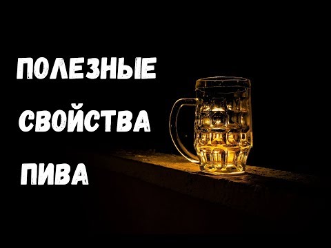 Полезные Свойства Пива