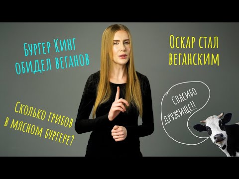 Видео: 7 советов для собак, отказывающихся от горшочка под дождем