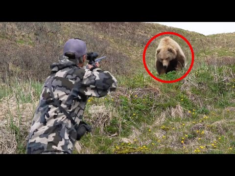 Такое Редко Увидишь! Эти Видео Повезло Снять на Камеру