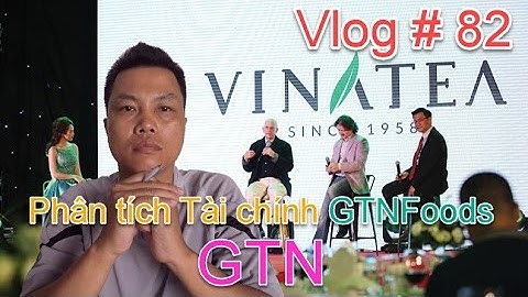Vlog # 82: Phân tích Tài chính Công ty cổ phần GTNFOODS - GTN