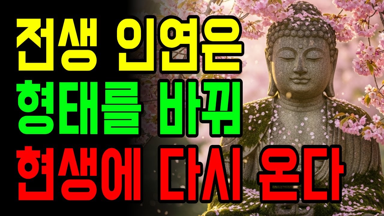전생에 사랑했던 사람… 왜 지금도 잊히지 않을까? | 부처님지혜 | 부처님말씀 | 인생지혜