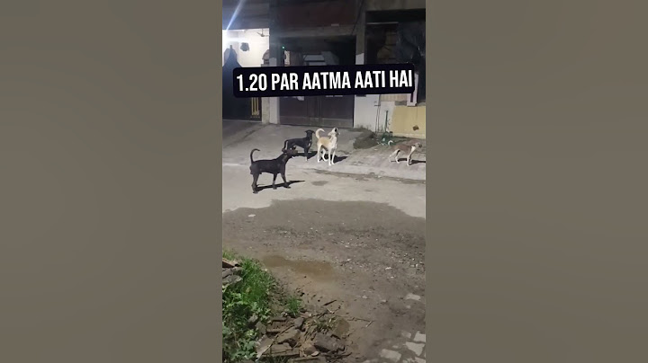Raat कुत्तो ne dekhi aatma | real ghost seen in India | bhoot ki kahani | horror stories 2023