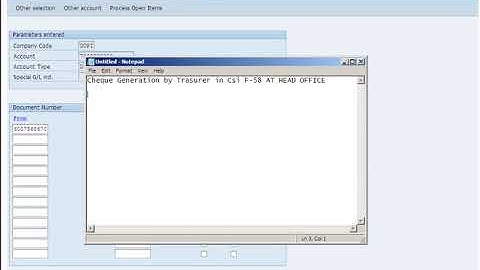 CSI CHEQUE LIABILITY F-58