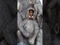 رمش خطاف يوسف وميرا