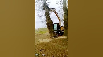 The process of cutting trees = good tools to increase efficiency