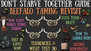 Don't Starve Together Guide: Beefalo Taming Revisit  Easier Now? Worth It?