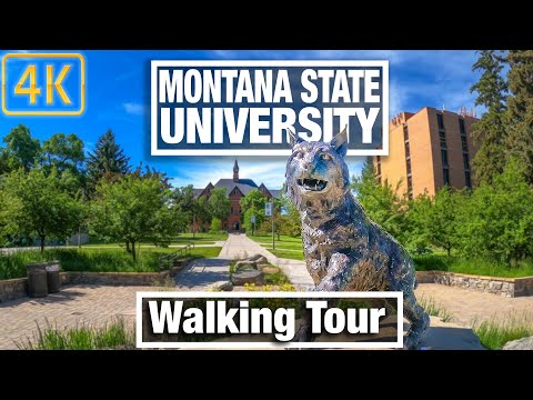 Vidéo: Bourses De Premier Cycle Aux États-Unis à La Montana State University