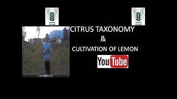 CITRUS TAXONOMY & CITRUS LEMON CULTIVATION
