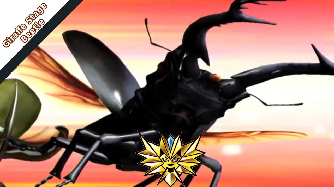 Giraffe Stage Beetle gameplay. Strong animal kaiser max4 | 百獣