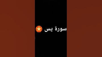 سورة يس 🏵️ #quran #لايك #beautiful #قرآن #explore #اكسبلور