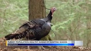 Kentucky spring turkey season approaches with strong population outlook