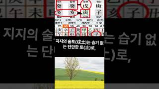 내 남편들 왜 항상 바람피우는가?#명리학 #사주