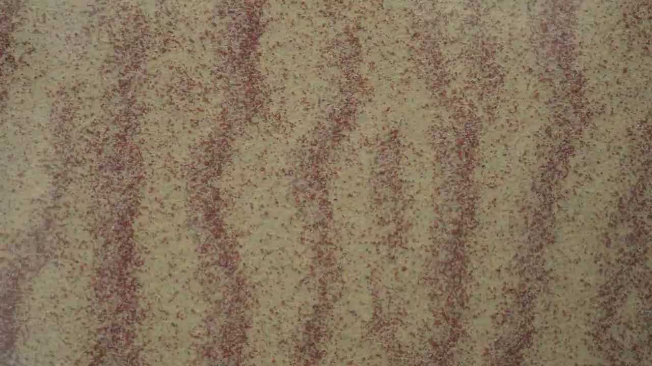 Impact Ripple Formation - Sample 1 @ 9 m/s - YouTube