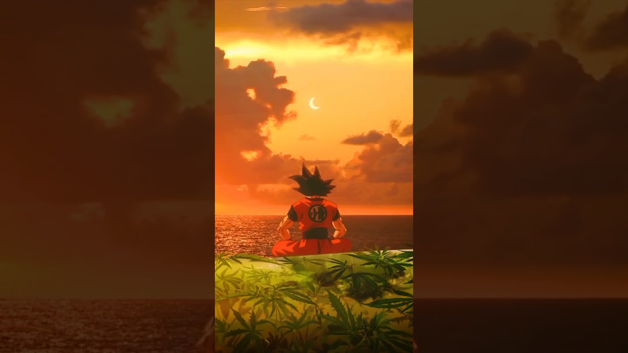 "Goku finding peace by the seaside 🌊☮️ 