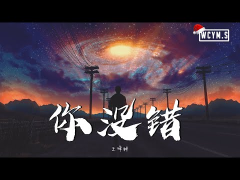 王泽科 - 你没错【動態歌詞/Lyrics Video】
