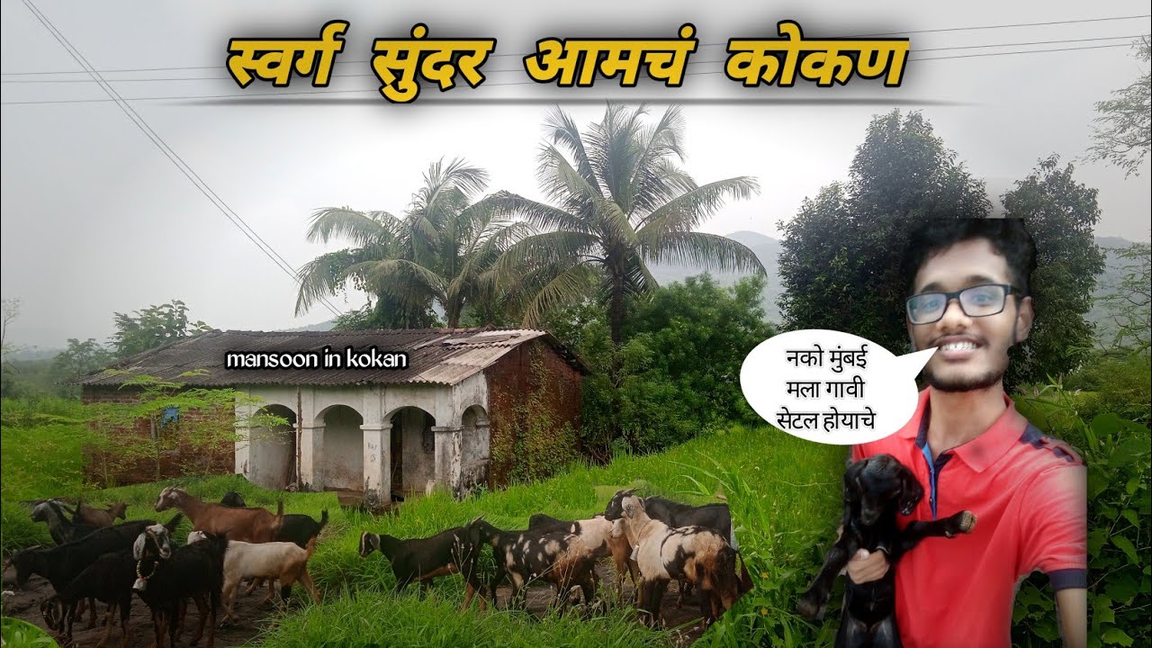 स्वर्ग सुंदर आमचं कोकण || घोसाळे रोहा रायगड कोकण || नको मुंबई 🤧 गावी रहायचंय 