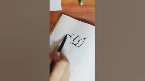 How to draw lotus flower 💐 ?