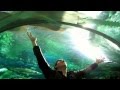 Toronto Ripley's Aquarium of Canada, HD