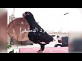 حمام من العيار الثقيل طيرة مسودة سودا من النوادر 