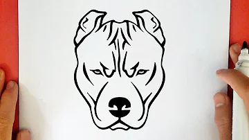 Quantos anos vive o cachorro Pitbull?