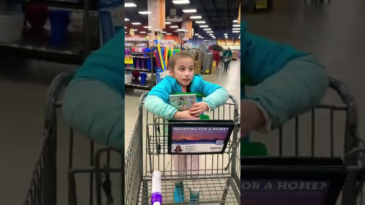 AMAZING GIRLS GOES EASTER TOY SHOPPING AT FRED MEYER PALMER ALASKA 