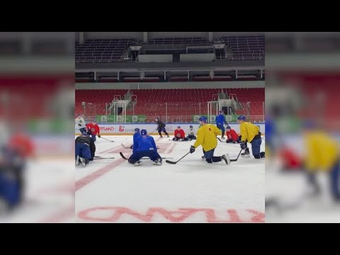 Бейне: Әлемдегі ең жақсы хоккейшілер