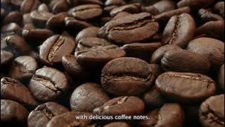 Santa Teresa 1796 Arabica Coffee Cask Finish