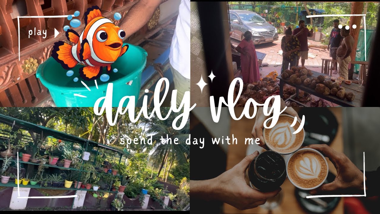 I Fish tank cleaning and a day 