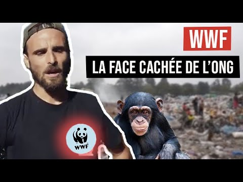 WWF, la face cachée de l'ONG