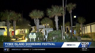 Tybee Shorebird Festival underway along Georgia coast
