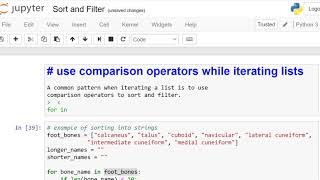 Sort and Filter in Python