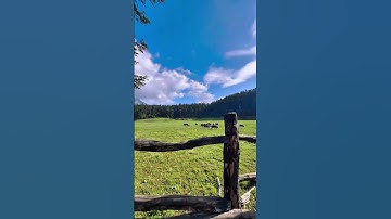 "Majestic Views at the Foot of Jade Dragon Snow Mountain | Lijiang, Yunnan Province" #viralshorts