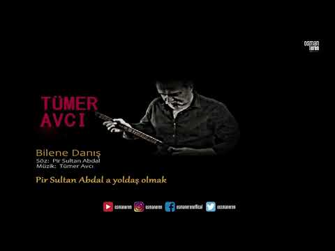 Tümer Avcı -