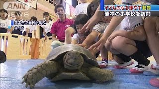 子どもの心を癒やす　動物たちが熊本の小学校訪問(16/05/27)