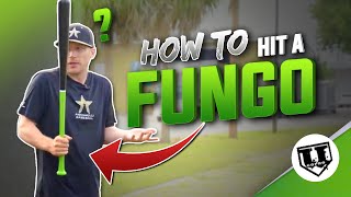 How To Hit A Fungo (without looking like an IDIOT!)